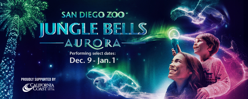 Jungle Bells at the San Diego Zoo